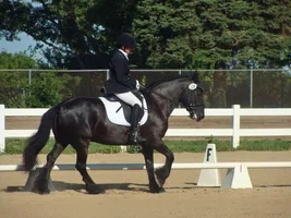 Lisa in dressage.webp