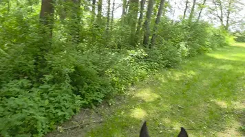 20260529_123705(1).webp