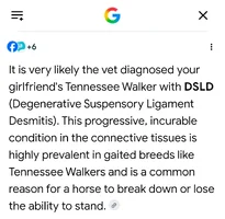 Screenshot_20260531_062636_Google.webp