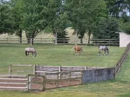 20260531_094027.webp
