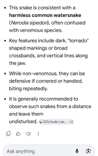 Screenshot_20260603_182437_Google.webp