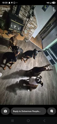 Screenshot_20260604_193937_Snapchat.webp