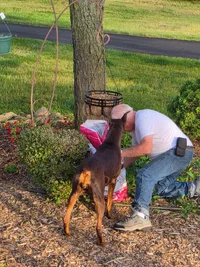 20260603_190601.webp