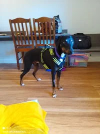 IMG_20260611_162248.webp