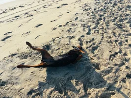 IMG_4072.webp
