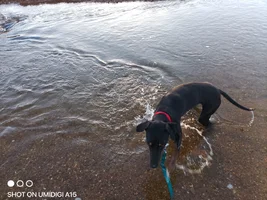 IMG_20260710_170540.webp