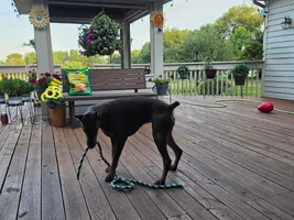 20260718_063331.webp