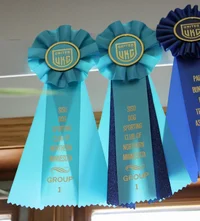 Group ribbons from July 18 26.webp Group ribbons from July 18 26.webp
