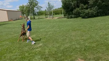 20260723_115947(1).webp 20260723_115947(1).webp