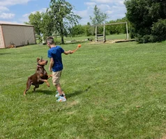 20260723_115947(1).webp