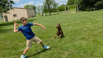 20260723_115947(4).webp 20260723_115947(4).webp