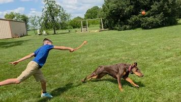 20260723_115947(5).webp 20260723_115947(5).webp