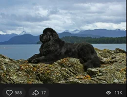 1000029020.webp
