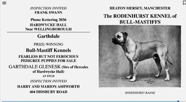 BullmastiffRodenhurst.JPG.webp