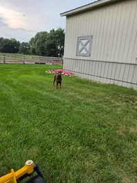20260727_121449.webp