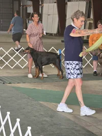 20260809_161353.webp