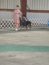 20260809_161206.webp