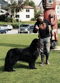 1000004183.webp