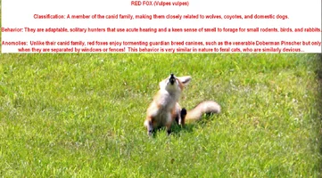 1786462560014.webp