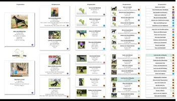 High Marks '26 litter.webp