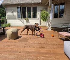 20260816_141043(0).webp