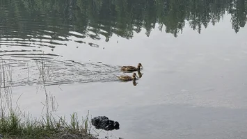 2026-08-07 10.40.34.webp