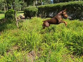 20260824_150742.webp