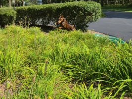 20260824_150755(0).webp