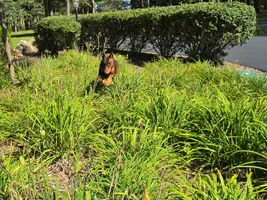 20260824_150757.webp