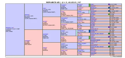 Screenshot 2026-08-31 at 6.11.57 AM.webp