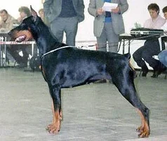 Alida.webp