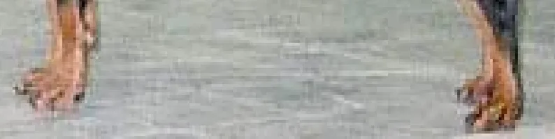 1788407852697.webp
