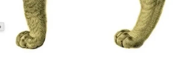 Screenshot 2026-09-03 at 7.01.31 AM.webp