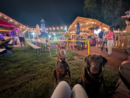 PXL_20260906_011413901.NIGHT.webp