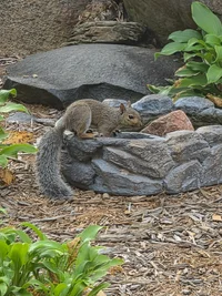20260908_082652.webp