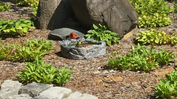 20260807_150436.webp