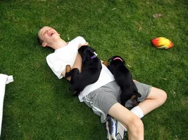 erik_dobepups.webp