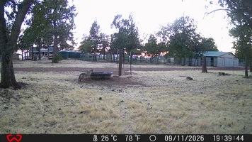 DSCF0163.webp