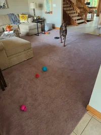 20260915_101108.webp