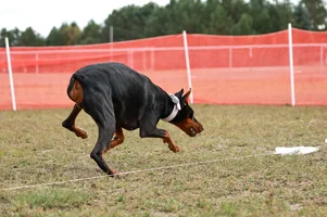 IMG_0571 (1).webp