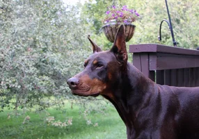Head shot front angle on steps Aug 22 26.webp