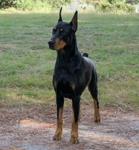 IMG_8920.webp IMG_8920.webp
