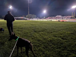PXL_20261003_002937507.NIGHT.webp PXL_20261003_002937507.NIGHT.webp