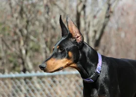 Head shot side angle full Apr 21 24.webp