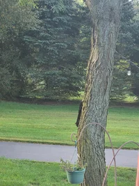 20261008_080127.webp