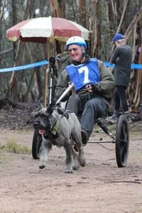 1000039190.webp