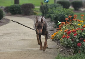20261009_112736.webp