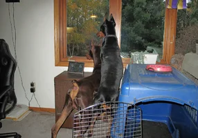 Both looking out window Oct 14 26.webp