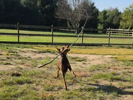 20261023_093902.webp