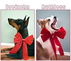 DRBowsThin2.webp